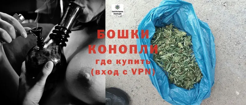 Канабис OG Kush  Кузнецк 